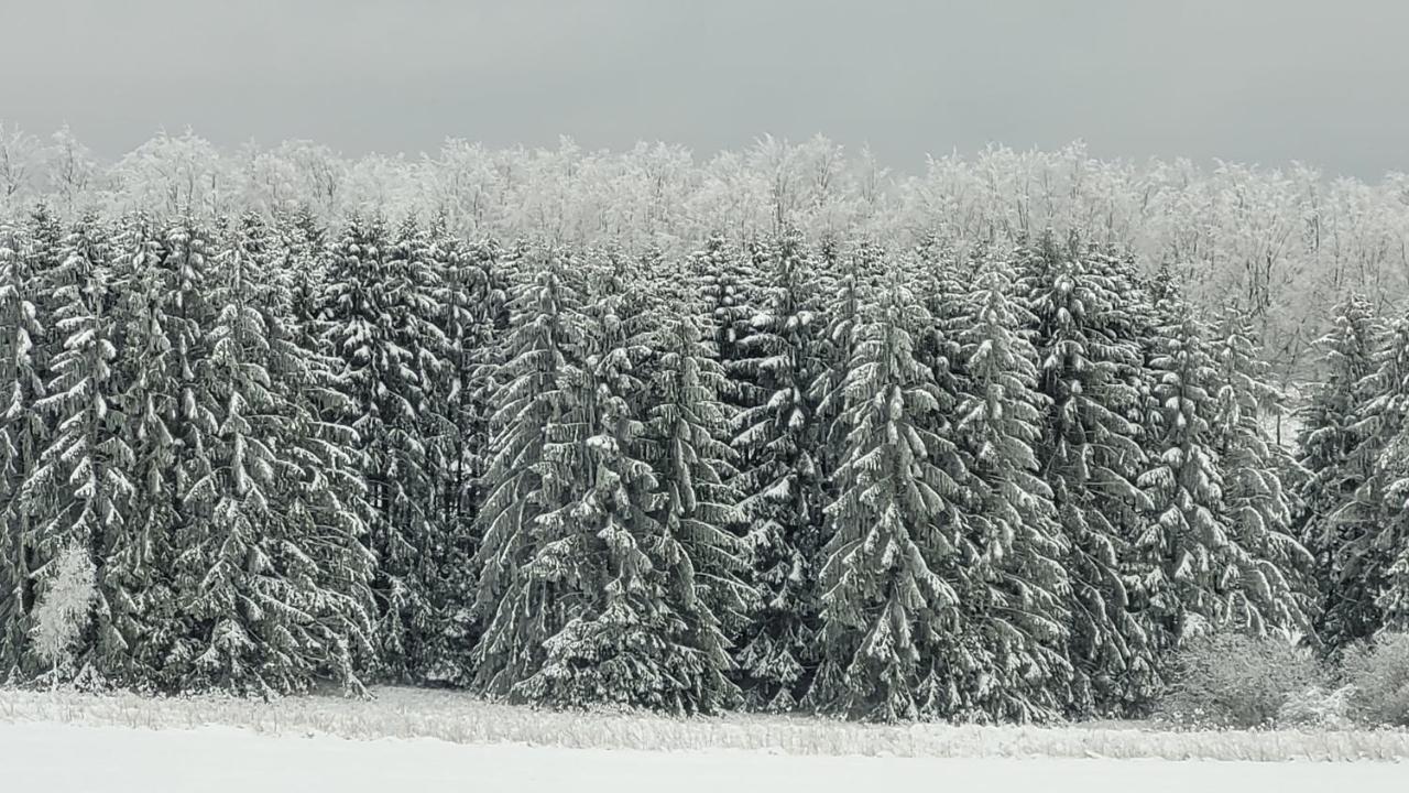 Ferienhaus Kirschbluete Monschau Exteriör bild